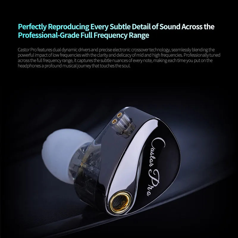 PRO 2DD Dynamic in Ear Earphones High-end Tunable Earphones Stets A New Benchmark for Hfi Sound Quality Bass Headsets