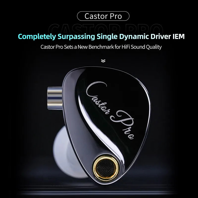 PRO 2DD Dynamic in Ear Earphones High-end Tunable Earphones Stets A New Benchmark for Hfi Sound Quality Bass Headsets