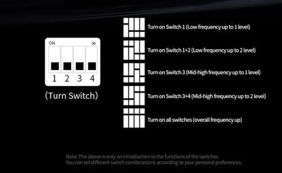 PRO 2DD Dynamic in Ear Earphones High-end Tunable Earphones Stets A New Benchmark for Hfi Sound Quality Bass Headsets