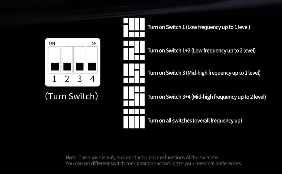 PRO 2DD Dynamic in Ear Earphones High-end Tunable Earphones Stets A New Benchmark for Hfi Sound Quality Bass Headsets