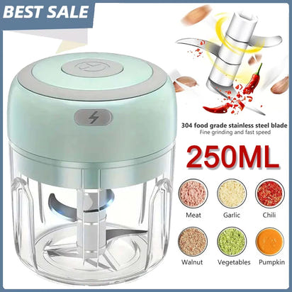250ML Stainless Steel Electric Garlic Chopper Sturdy Durable Garlic Ginger Kitchen Shredder Mini Tool Food Chopper