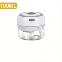 250ML Stainless Steel Electric Garlic Chopper Sturdy Durable Garlic Ginger Kitchen Shredder Mini Tool Food Chopper
