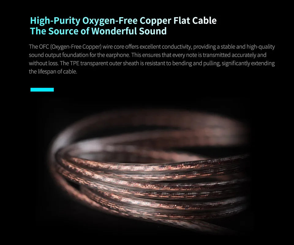 PRO 2DD Dynamic in Ear Earphones High-end Tunable Earphones Stets A New Benchmark for Hfi Sound Quality Bass Headsets