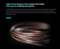 PRO 2DD Dynamic in Ear Earphones High-end Tunable Earphones Stets A New Benchmark for Hfi Sound Quality Bass Headsets