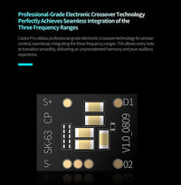 PRO 2DD Dynamic in Ear Earphones High-end Tunable Earphones Stets A New Benchmark for Hfi Sound Quality Bass Headsets